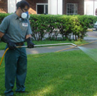 lawn care and lawn maintenance